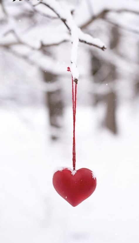 Christmas Heart Wallpaper, Christmas Food Photography, Winter Heart, Winter Christmas Scenes, Iphone Wallpaper Winter, Happy Valentines Day Images, Love Heart Images, Romantic Christmas, Valentines Wallpaper