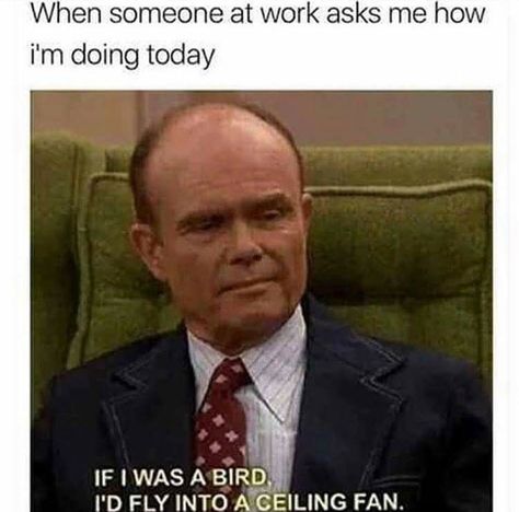 Haha Red Foreman When someone at work asks me how I'm doing today. If I was a bird is fly into a ceiling fan Workplace Humor, If I Was A, Seriously Funny, Clean Humor, Fresh Memes, Night Shift, Work Memes, Memes Humor, Funny Animal Memes