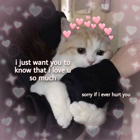 cute wholesome cat i love you Cat Love You Too Meme, Love You Cat Funny, Wholesome I Love You, Cute Cats With Text, I Loaf You Cat, Cat Love You Meme, Cat Love Memes Funny, Cat I Love You Meme Funny, Cute Cat I Love You