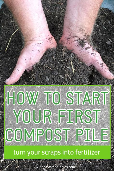 A man holding fresh compost. The text overlay says How To Start Your First Compost Pile. Turn Your Scraps Into Fertilizer. Backyard Compost, Chicken Composting, How To Start Composting, Compost Pile, Diy Compost, Kitchen Scraps, How To Make Compost, Compost Soil, Bucket Gardening