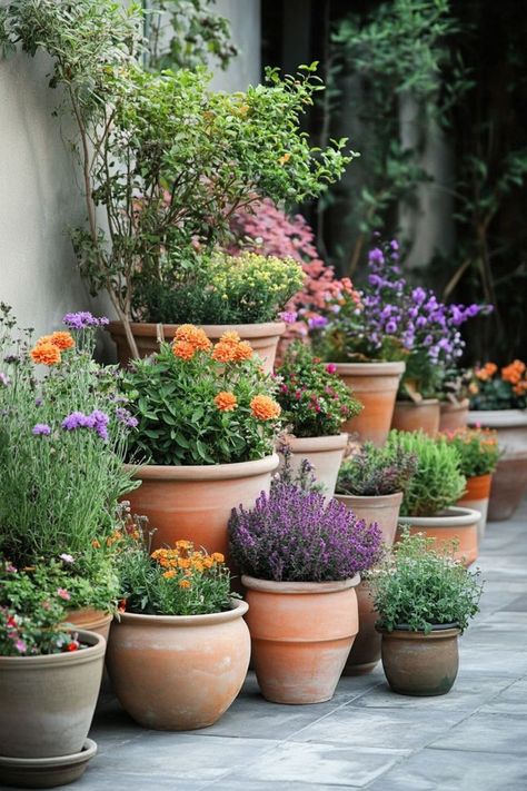 Innovative Container Garden Designs are a versatile and sustainable choice for any gardener! 🌿🪴 Experiment with creative combinations of plants in unique containers, transforming small spaces into lush gardens. Easy to arrange and bursting with innovation, these designs are perfect for patios, balconies, and urban gardens. Start your container garden journey today! 🌸🌿 #ContainerGardening #SustainableLiving #GardenIdeas #CreativeGardening Pots On Patio, Urban Gardening Balcony, Backyard Planters, Urban Gardens, Container Garden Design, Small Patio Garden, Front Garden Design, Cottage Garden Design, Flower Pot Garden