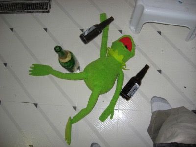 Green Frog, Bang Chan, The Story, Wine, Memes, Green