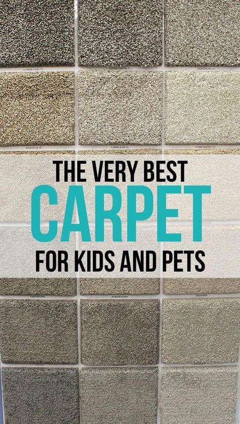 Basement Carpet, Neutral Carpet, Hall Carpet, Carpets For Kids, Kids And Pets, Carpet Trends, Buying Carpet, Cheap Carpet Runners, Diy Carpet