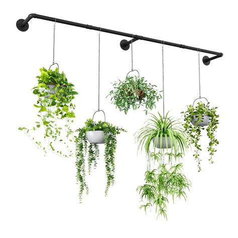 PRICES MAY VARY. 【Extension Plant Hangers】Extended design, 73" length can accommodate large windows or large indoor&outdoor walls to hang more plants. 【Durable Material and Robust Connection】Take sturdy metal material threaded joints for connection to ensure the sturdiness and durability. 【All Hardware Included】This metal plant hanger comes with all mounting hardware and detailed instructions . You can customize it for wall-mounted or ceiling.If you have any questions about the installation we a Hanging Plants Window Curtain Rods, Plant Over Window, Interior Hanging Plants, Curtain Rod Hanging Plants, Plants Above Headboard, Plants On Curtain Rod, Wall Pots For Plants Indoor, Hang Plants In Window, Hanging Plant Wall Indoor