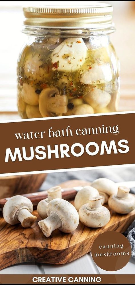 Master the art of water bath canning mushrooms, a versatile skill in canning mushrooms. Learn how to preserve zesty marinated mushrooms that are perfect straight from the jar or as an addition to charcuterie plates and salads. Made with white wine vinegar, olive oil, garlic, and herbs, these mushrooms are a delightful treat. Explore more water bath canning for beginners, canning food preservation, and canning vegetables recipes at creativecanning.com Hot Water Canning Bath, How To Pickle Mushrooms, How To Preserve Mushrooms, Canning Marinated Mushrooms, Water Bath Recipes, Canning Mushrooms Hot Water Bath, Mushroom Preservation, Canning Mushrooms, Water Bath Canning For Beginners