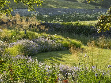 Acres Wild, Wild Gardens, Soft Landscape, Country Garden Design, Monterey Cypress, Flint Stone, Wild Meadow, Eco Garden, South Downs