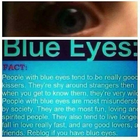 I love my eyes!! Haha this is my eyes! Blue all the way! Blue Eye Facts, Blue Eye Quotes, Eye Color Facts, People With Blue Eyes, Eye Facts, Good Kisser, Eye Quotes, Behind Blue Eyes, Psychology Facts