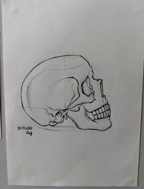 Skull Drawing Simple Side View, Skull Art Side View, Skull From The Side Drawing, Skull Sketch Simple How To Draw, Skeleton Side Profile Drawing, Sideways Skull Drawing, Side Profile Of Skull, Forensic Drawing, Side Skull Drawing