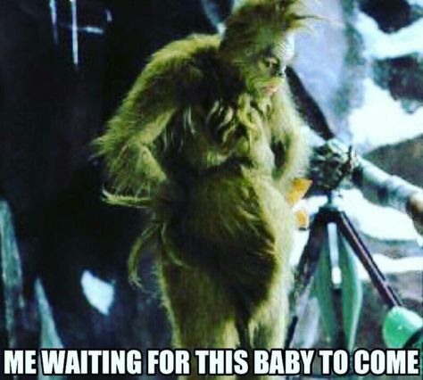 My current life! #38wks2days #comeon39and1 #imready #grinch #babykhloe #decemberbaby Pregnant Meme Funny, Pregnancy Memes Funny, Pregnant Humor, Funny Pregnancy Memes, Pregnancy Jokes, Pregnancy Memes, Pregnancy Info, Funny Pregnancy, Pregnancy Information