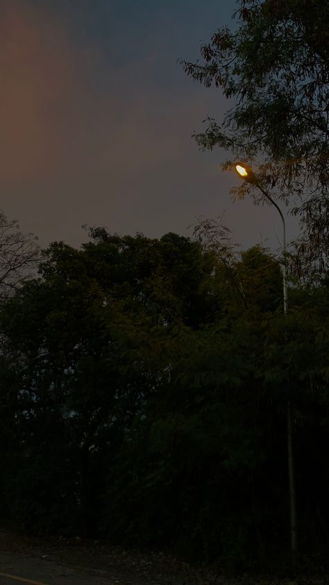 #evening #road #trees #lights #nature #night #sky Evening Trees Aesthetic, Evening Night Sky, Night Tree Snap, Evening Sky Snap, Night Road Snap, Road Lights Night, Calm Place, Nature Photography Quotes, Trees Lights