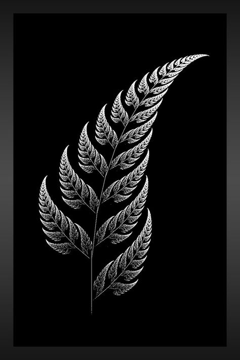 silverfern New Zealand Tattoo, Fern Tattoo, Maori Tattoos, Wallpaper Hitam, Marquesan Tattoos, Maori Tattoo Designs, Samoan Tattoo, Nz Art, Theme Tattoo