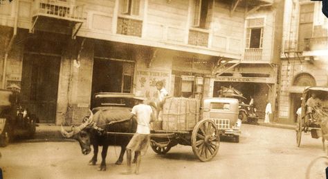 https://flic.kr/p/ETyrf8 | Manila street scene. 1939 | Chinatown. Kasaysayan Ng Pilipinas, Colonial Philippines, Vintage Philippines, New Manila, Philippine History, Native Beauty, Filipino Culture, Horse Drawn, Beautiful Landscape Wallpaper