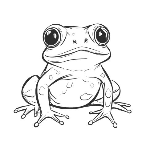 Frog Drawing Frog Drawing Black And White, Frog Face Drawing, Frog Cartoon Drawing, Cartoon Outline, Frog Drawing Sketches, Frog Draw, Open Mouth Drawing, Frog Outline, Frog Sketch