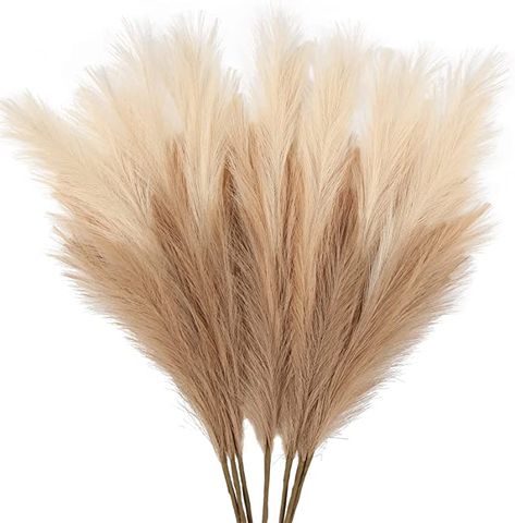 Amazon.com: ZIFTY 7-Pcs 38"/3.1FT Faux Pampas Grass Large Tall Fluffy Artificial Fake Flower Boho Decor Bulrush Reed Grass for Vase Filler Farmhouse Home Wedding Decor (Beige Mixed) : Home & Kitchen Faux Pampas, Vase With Branches, Farmhouse Vase, Flower Bedroom, Grass Decor, Pampas Grass Decor, Pampas Gras, Fake Flower, Get Well Gifts