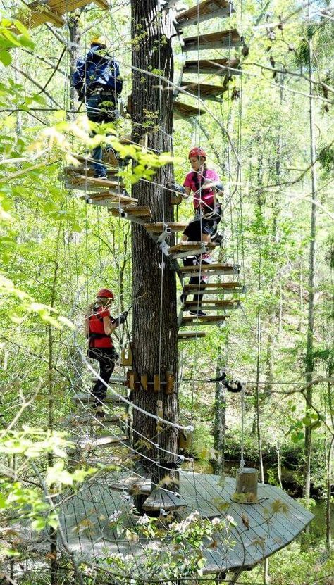 Fayetteville North Carolina, North Carolina Travel, Waterfall Adventure, Adventure Park, Parkour, Trip Ideas, Oh The Places Youll Go, Outdoor Adventure, Tree House