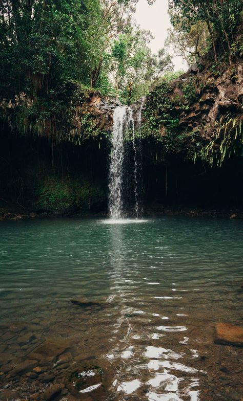 Hawaii In The Fall, Hawaii Waterfall Aesthetic, Hiking Waterfall Aesthetic, Maui Waterfalls, Waterfall Hawaii, Twin Falls Maui, Hawaii Forest, Maui Hawaii Aesthetic, Falls Aesthetic