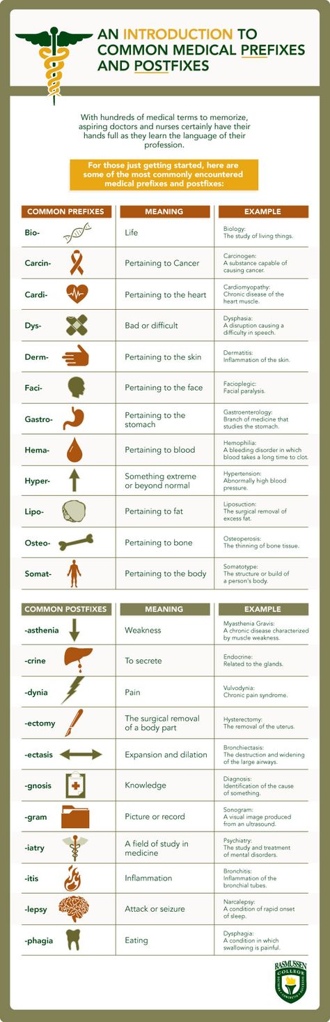 For those of you who don't remember your Latin roots, here are some common medical prefixes and postfixes.  Designed for doctors/nurses in training, but since many of us have to make our own medical decisions, it could be useful for anyone. Autogenic Training, Medical Terminology, Medical Coding, Nursing Tips, Pre Med, Medical Terms, Nursing Study, Nursing Education, Med Student