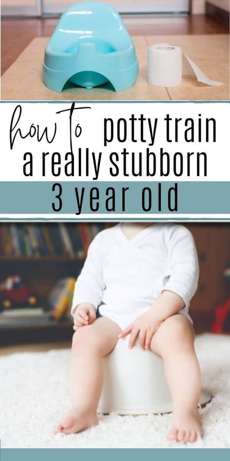 Best Potty Training Seat, Early Potty Training, Potty Training Methods, Potty Training Books, Boys Potty, Best Potty, Potty Training Girls, How To Potty Train, Potty Training Seats