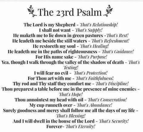 Psalm 23rd broke down in a very cool way. 23rd Psalm, Faith Prayer, Psalm 23, Bible Knowledge, Favorite Bible Verses, Bible Lessons, Verse Quotes, Scripture Verses, Bible Verses Quotes