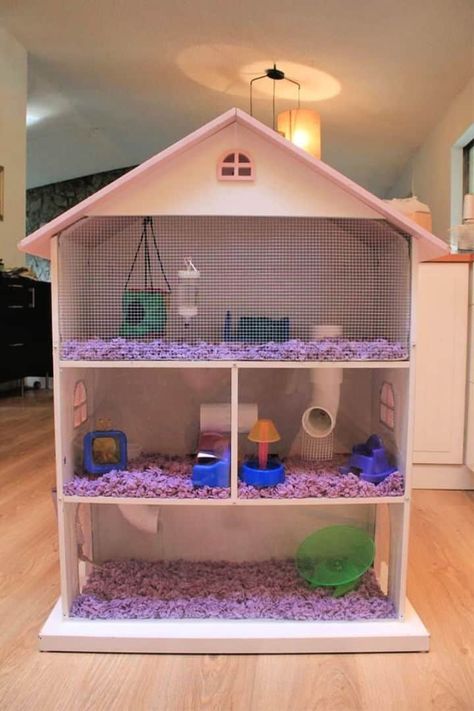 20 Homemade DIY Guinea Pig Cage Ideas To Build Your Own Hamster Russe, Kandang Hamster, Rabbit Houses, Hamster Diy Cage, Chinchilla Care, Hedgehog Cage, Gerbil Cages, Diy Guinea Pig Cage, Hamster Stuff