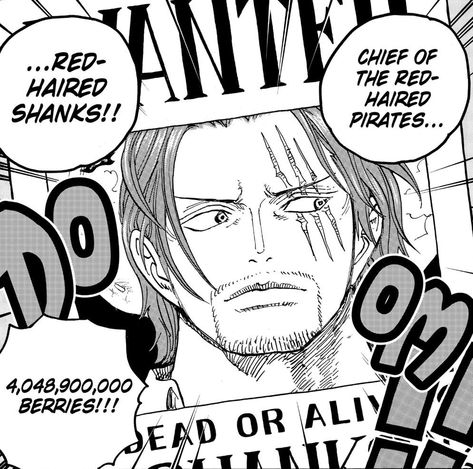 Shanks Bounty, Red Hair Shanks, One Piece Chapter, Anime Wall Art, Girl Short Hair, Cartoon Jokes, One Piece Manga, One Piece Anime, Anime Demon