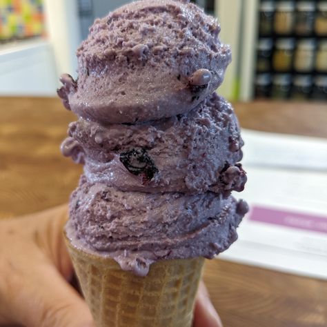 Frozen Ice Cream, Blueberry Ice Cream, Freeze Ice, Frozen Ice, Blueberry Sauce, Frozen Custard, Wild Blueberries, Frozen Blueberries, Ice Cream Maker