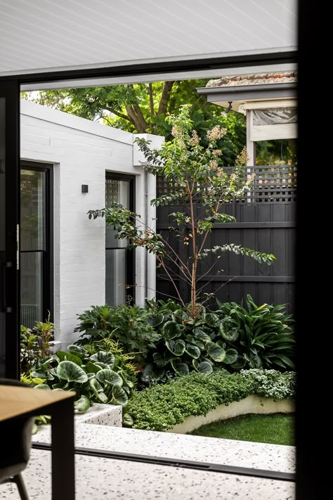 Miniscape Projects, Landscape Design Melbourne, Courtyard Plants, Creative Landscape, Tudor Style Homes, Front Landscaping, The Local Project, Light Well, Front Yard Garden