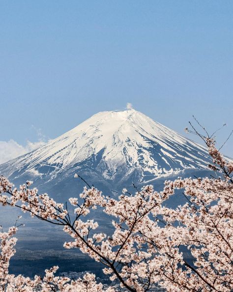 Mount Fuji, Japan Volcano, Japan Mountains, Snow In Japan, Winter Japan, Fuji Mountain, Mountains Aesthetic, Majestic Mountains, Snow Mountain