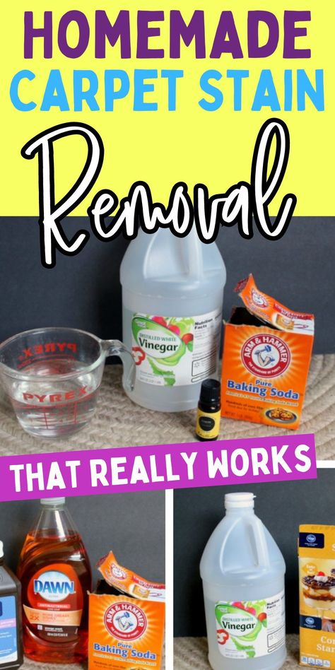 Diy Pet Stain And Odor Remover Carpet Cleaners, Easy Carpet Cleaning, Carpet Cleaner Diy Deep Cleaning, How To Get Tough Stains Out Of Carpet, Grease Stains Out Of Carpet, How To Get Rid Of Vomit Smell In Carpet, Dog Stains Out Of Carpet, Carpet Spot Cleaner Stain Removers, Clean Old Carpet Stains