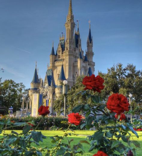 Beauty And The Beast Castle, Beast Castle, Beast's Castle, Magical Castle, Tale As Old As Time, Disney Beauty And The Beast, Disney Stuff, The Castle, Cologne Cathedral