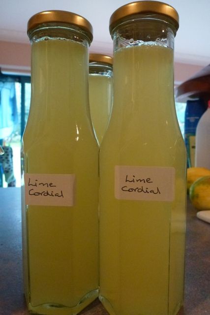 Lemon/Lime Cordial - Life's Bounty Lime Cordial Recipe, Diy Cordial, Lemon Cordial Recipe, Cordial Recipes, Simple Syrup Cocktails, Cordial Recipe, Cocktail Syrups, Lime Recipes, Tartaric Acid