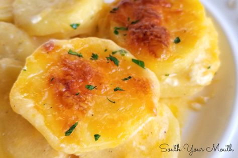 Super Easy Scalloped Potaotes Super Easy Scalloped Potatoes, Scolloped Potatoes, Potato Scallop, Easy Potato Casserole, Scallop Potatoes, Easy Cheesy Scalloped Potatoes, Potato Casseroles, Cheesy Potato Bake, Easy Scalloped Potatoes Recipe