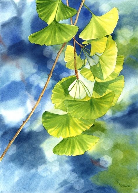 Ginkgo leaves make beautiful patterns of light and shadow. Ginkgo Tree, Gingko Leaves, Ancient Tree, Ginkgo Leaf, Watercolor Inspiration, Leaf Art, A Tree, Blue Backgrounds, Watercolor Paper