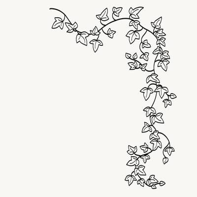 Ivy Border Vector Art, Icons, and Graphics for Free Download Vintage Vine Illustration, Ivy Vine Tattoo Stencil, Ivy Vines Drawing Simple, Ivy Line Tattoo, Vine Sketch Leaves, Ivy Pattern Design, Vines Line Art, Ivy Line Drawing, Grape Vine Drawing Simple