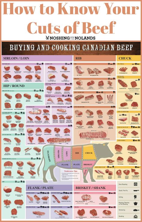 How to Know Your Cuts of Canadian Beef by Noshing With The Nolands is an informative guide to everything you need to know about beef from how best to prepare the different cuts to how to cook it and serve it! Meat Healthy Recipes, Beef Chart, Meat Cuts Chart, Beef Cuts Chart, Different Cuts Of Beef, Cuts Of Beef, Beef Sirloin, Food Charts, Cooking Guide