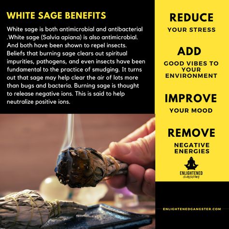 White Sage Benefits, Incense Lavender, Nature Candles, Smudging Herbs, Sage Crystals, Sage Benefits, Sage Incense, Earth Magic, Sage Garden