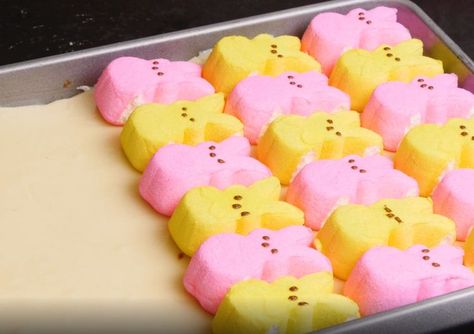 How to make adorable Peeps cookie bars for Easter Peeps Easter Desserts, Easter Brownies With Peeps, Easter Sugar Cookie Bars, Peep Cookies Decorated, Peeps Dessert Ideas, Desserts With Peeps, Peep Cookies, Easter Dessert Bars, Peeps Cookies