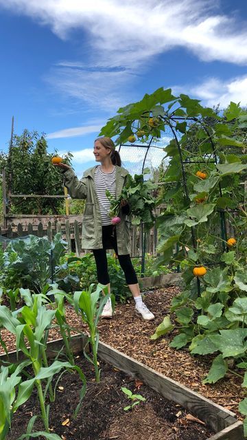 Small Allotment Design, Uk Allotment, Small Allotment, Allotment Ideas Inspiration, Allotment Design, Allotment Ideas, Back Ache, Allotment Gardening, Outdoor Learning