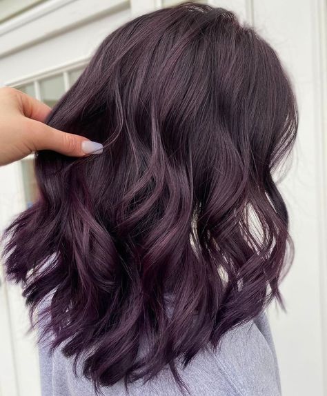 Dark Grape Hair Color, Grape Hair Color Dark Purple, Hint Of Purple Hair, Dark Lavender Hair Color, Grape Color Hair, Dark Brown Hair With Plum Highlights, Violet Hair Short, Cool Tone Purple Hair, Grape Violet Hair Color