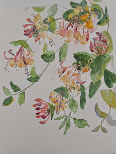 Honeysuckle Watercolor, Tattoo Honeysuckle, Art Nouveau Tattoo, Nouveau Tattoo, Flower Sleeve, Watercolor Projects, Painting Classes, Canvas Painting Designs, Botanical Painting