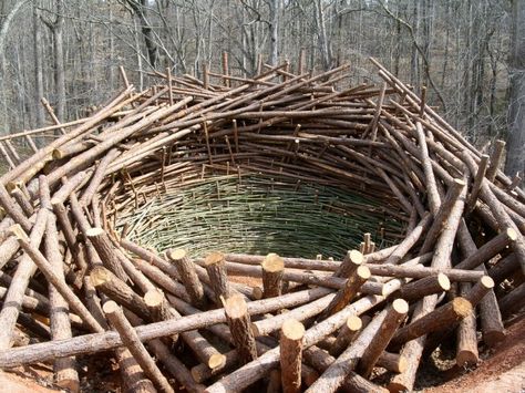 giant nest sculpture Urban Permaculture, Hidden Gardens, Environmental Sculpture, Nest Building, Andy Goldsworthy, Sculpture Wood, Clemson University, Red Lobster, Earth Art