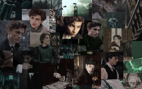 #regulus #regulusblack #marauders maraudersera #harrypotter #hp #hogwarts #slytherin #slytherinaesthetic #aesthetic #jamespotter #timotheechalamet Slytherin Wallpaper Laptop, Regulus Wallpaper, Regulus Black Lockscreen, Regulus Wallpaper Aesthetic, Regulus Black Aesthetic Wallpaper Laptop, Timothee Chalamet Desktop Wallpaper, Regulus Black Computer Wallpaper, Slytherin Backgrounds Computer, Slytherin Wallpaper