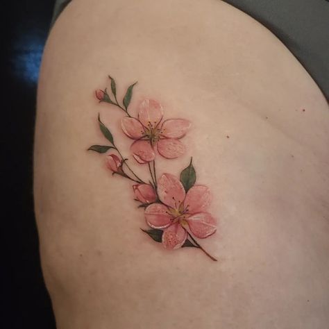 Enchanting apple blossom tattoo done by @kristylynneart! The faint yet lovely colours make this piece more appealing! Amazing choice for a first tattoo!! 🌸😊⁠ Crab Apple Blossom Tattoo, Crabapple Tattoo, Apple Blossom Flower Tattoo, Crab Apple Tree Tattoo, Apple Flower Tattoo, Apple Blossom Drawing, Peach Blossom Tattoo, Abdominal Tattoo, Apple Blossom Tattoo