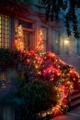 Outdoor Decoration Ideas, Colorful Christmas Decorations, Natural Christmas Decor, Modern Christmas Decor, Christmas Outdoor, Natural Christmas, Outdoor Solar Lights, Outdoor Solar, Decor Shop