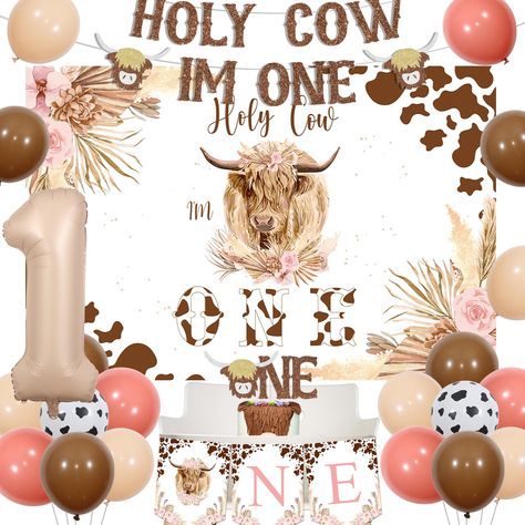 Hi Land Cow Birthday, 1st Birthday Party Cow Theme, Highland Cows First Birthday, Highland Birthday Party, Highland Cow Birthday Theme, Cow Theme 1st Birthday Party Girl, Highland Cow First Birthday Girl, Highland Cow Birthday Party Ideas, Holy Cow I’m One Decorations