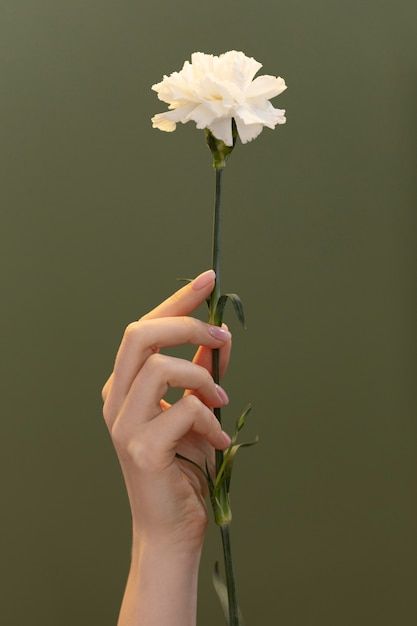 Hand Holding Something, Hand Holding Rose, Hands Holding Flowers, Human Painting, Losing My Mind, Idee Cricut, Married Man, Flower Model, Body Art Photography