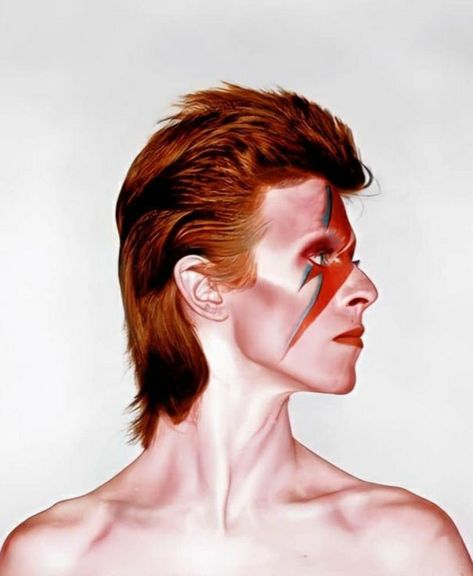 David Bowie Reference, David Bowie Red Hair, David Bowie Makeup Ziggy Stardust, David Bowie Profile Picture, David Bowie Side Profile, David Bowie Haircut, David Bowie Icon, David Bowie Photoshoot, David Bowie Hair