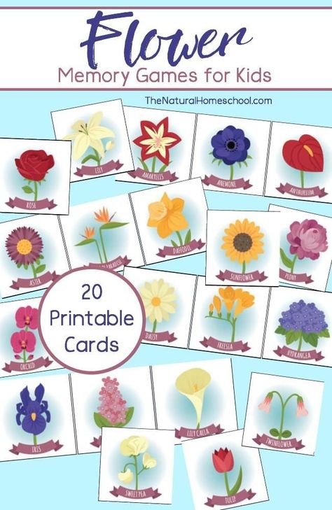 You are going to love the Flower Memory Games for Kids we made in this post! Yes, you can get these free printable cards and use them for several activities that we will show you and talk about. Planting Preschool, Nature Club, Garden Unit, Flower Games, Spring Games, Spring Printables, Memory Games For Kids, Free Printable Cards, Spring Preschool