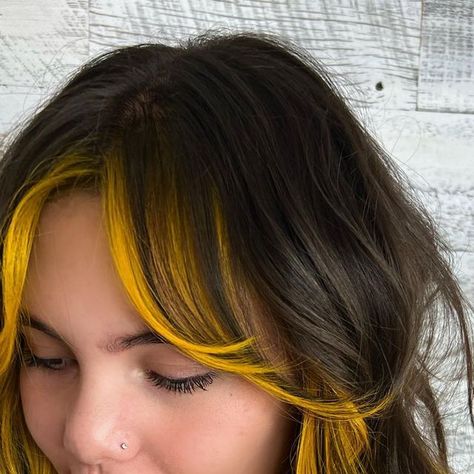 Sam Smith on Instagram: "Shaley wanted her own version of a color combo I gave @manepursuit , so that’s exactly what we did. 🌙🖤 We love a classic and bold face framing pop of color." Rainbow Hair Highlights, Hair Color Placement, Face Framing Hair, Color Block Hair, Yellow Hair Color, Vivid Hair Color, Hair Color Unique, Dark Hair With Highlights, Sam Smith