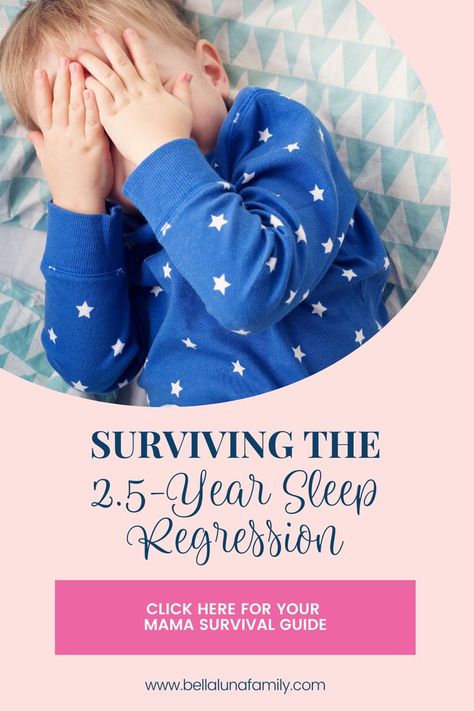 Surviving The 2.5 Year Sleep Regression | Bella Luna Family | Is your 2.5 year old on a solid nap strike, leaving your wondering if it is time to drop the nap? Hold up! You've got to read this post to learn all about what causes the sleep regression, nap schedules, bedtime fears, ok to wake clocks, transitioning to a big kid bed too soon and how to get back on track. Dive into the post: https://bellalunafamily.com/2-and-a-half-year-sleep-regression/. 2 And A Half Year Old Sleep Schedule, 6 Month Sleep Regression, Toddler Sleep Regression, Toddler Sleep Schedule, Toddler Bedtime Routine, Toddler Sleep Training, Baby Sleep Regression, Toddler Bedtime, Kid Bed